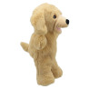 Hand puppet labrador dog - The Puppet Company Eco (12+ months)