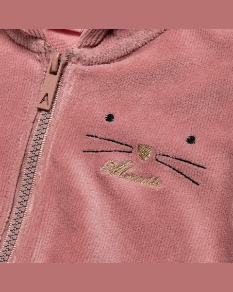Set zip hoodie with embroidery and pants (3-18 months)