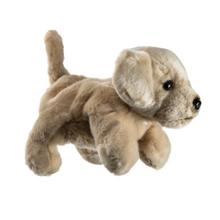 Hand puppet labrador - The Puppet Company (12+ months)