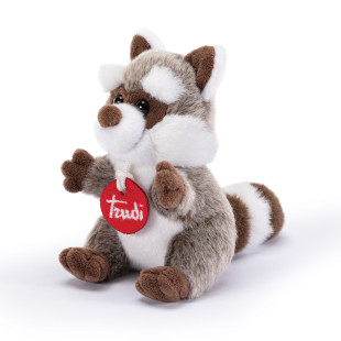 Plush toy raccoon Trudi Trudini in a box