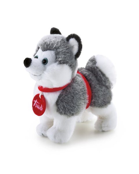Plush toy husky Trudi Trudini in a box