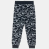 Pyjamas with dinosaur print (18 months-5 years)