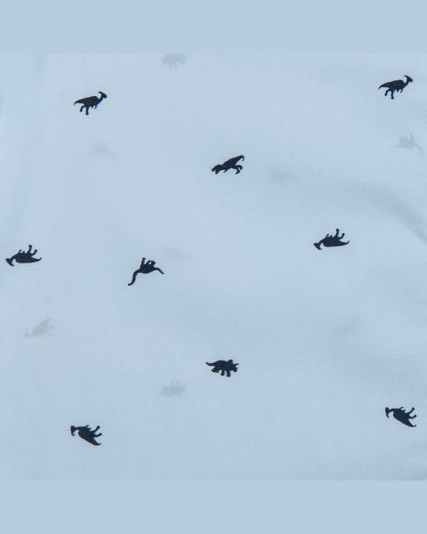 Shirt with dinosaur pattern (12 months-5 years)