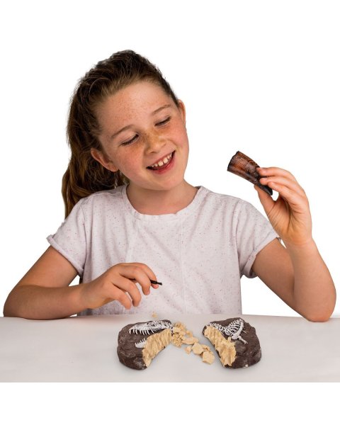 National Geographic Dino Fossil Dig Kit (8+ years)