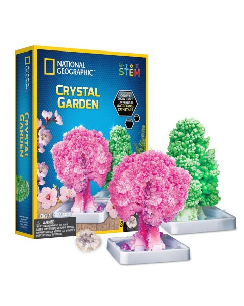 Set Crystal Garden National Geographic (8+ years)