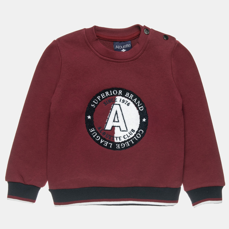 Long sleeve top cotton fleece blend with embroidery (12 months-5 years)