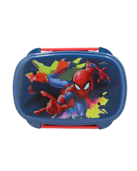 Δοχείου φαγητού Spiderman με κουτάλι και πιρούνι
