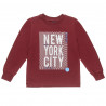 Long sleeve top Five Star with print "New York City" (2-5 years)