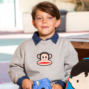 Sweater Paul Frank with embroidery (2-5 years)