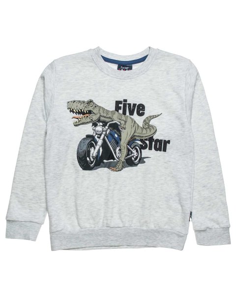Tracksuit lightweight cotton fleece blend (6-14 years)