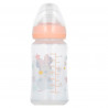 Feeding bottle Disney Minnie Mouse 240ml (0+ months)