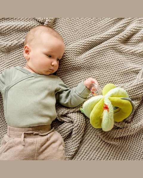 Activity ball Fehn Happy Dino 16cm (0+ months)