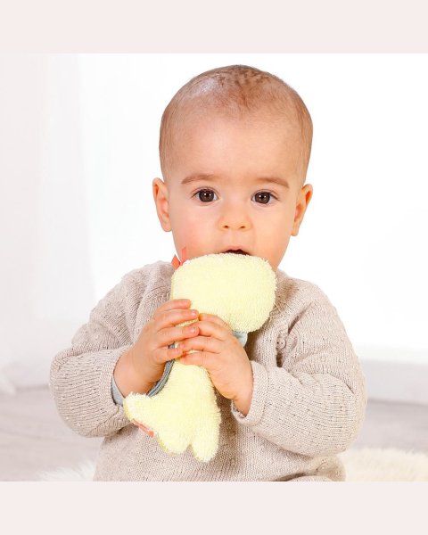 Rattle Fehn Happy Dino 17cm (0+ months)