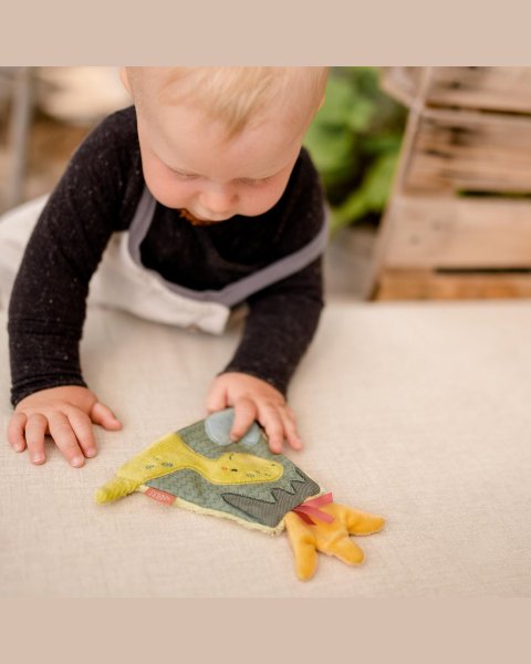 Toch toy Happy Dino (0+ months)