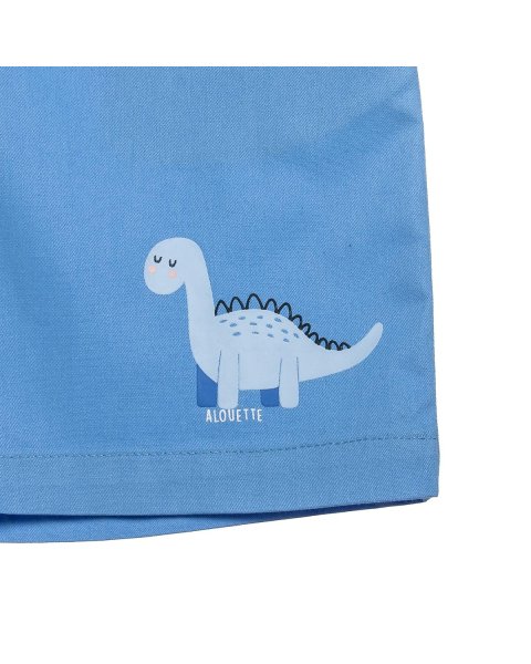 Set dino shirt with shorts (9 months-8 years)