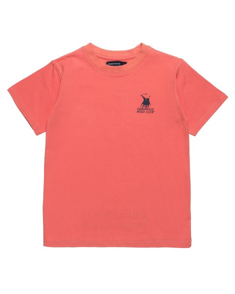 Μπλούζα Greenwich Polo Club με ανάγλυφο logo (2-5 ετών)