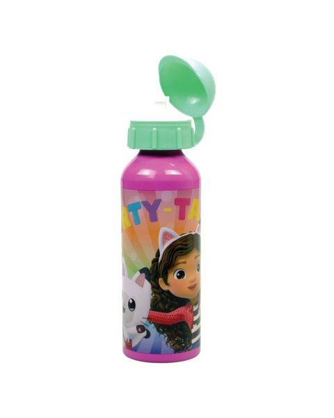 Water bottle aluminum Gabby's Dollhouse 520ml