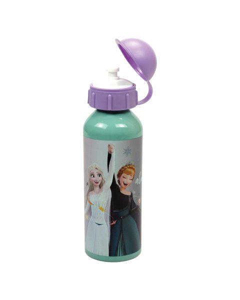 Water bottle aluminum Disney Frozen 520ml