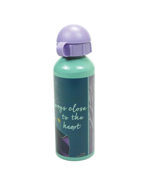 Water bottle aluminum Disney Frozen 520ml