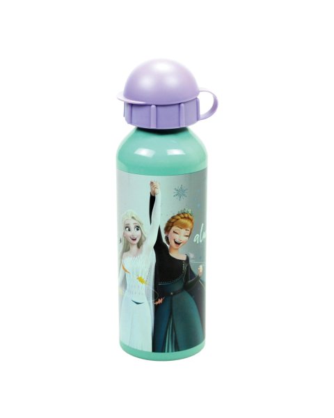 Water bottle aluminum Disney Frozen 520ml