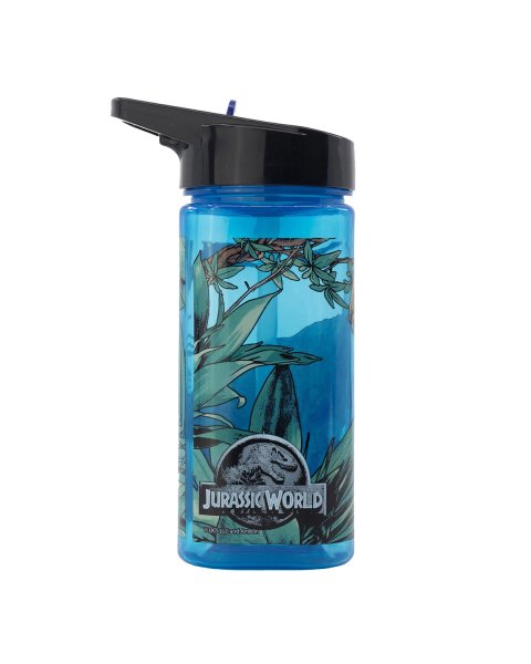 Water bottle with straw Jurassic Park 510ml (4+years)