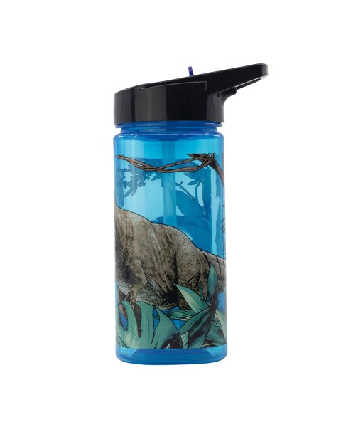 Water bottle with straw Jurassic Park 510ml (4+years)