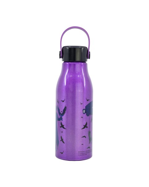 Water bottle aluminum Wednesday 760ml