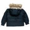 Jacket Paul Frank with print inside (12 months-5 years)