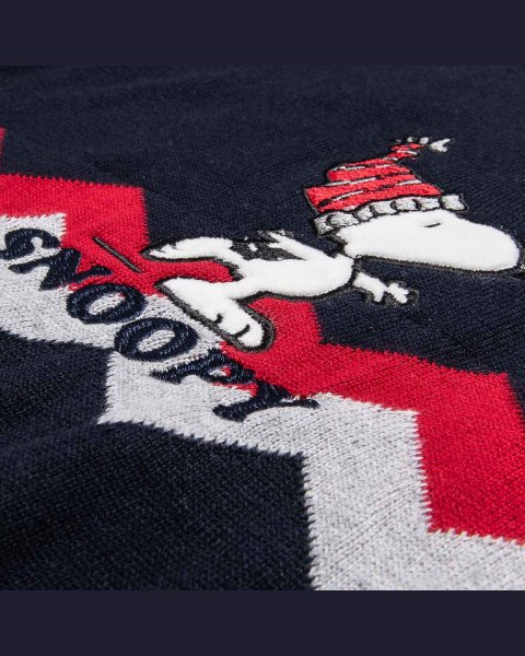 Sweater Snoopy with embroidery (12 months-8 years)