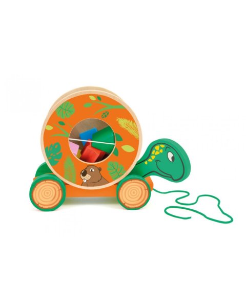 Wooden Sliding Turtle With Sevi Shapes