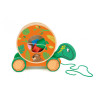 Wooden Sliding Turtle With Sevi Shapes