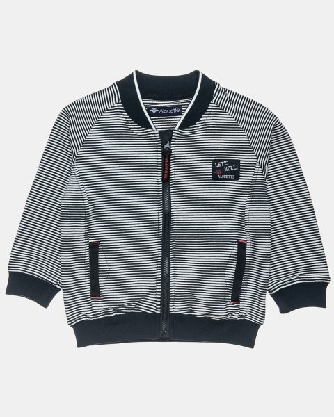Zip hoodie with stripes and embroidery (12 months-5 years)