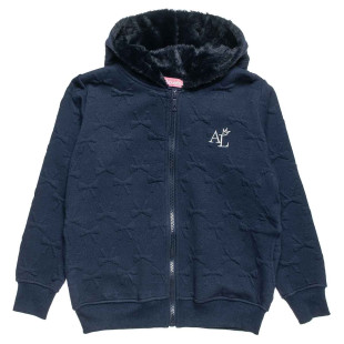 Zip hoodie cotton fleece blend with shiny embroidery (6-16 years)
