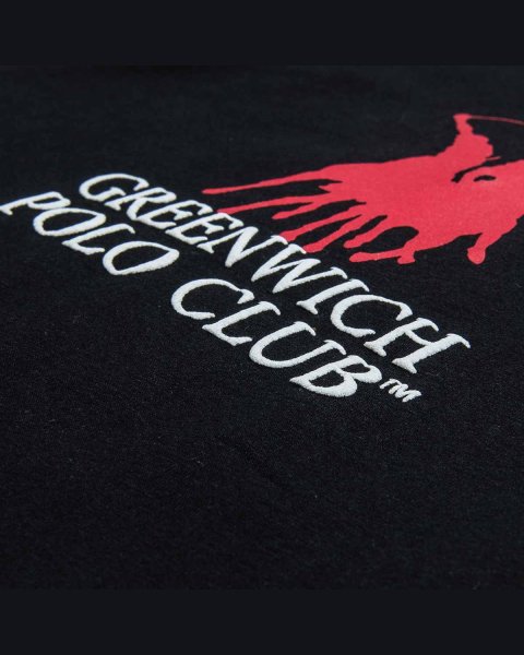 Long sleece top Greenwich Polo Club with embossed elements (2-16 years)