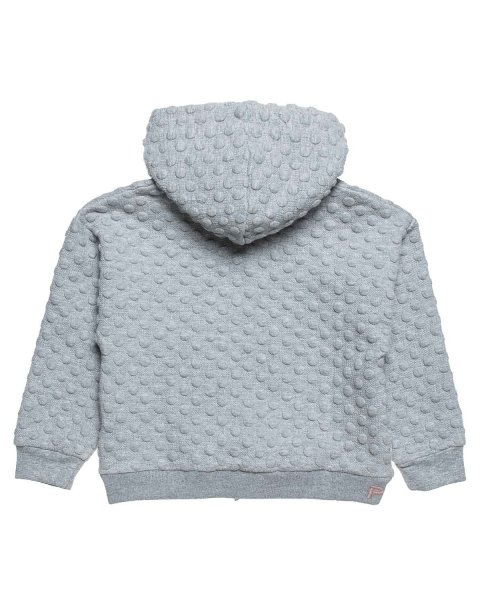 Zip hoodie cotton fleece blend Paul Frank with embroidery (12 months-5 years)