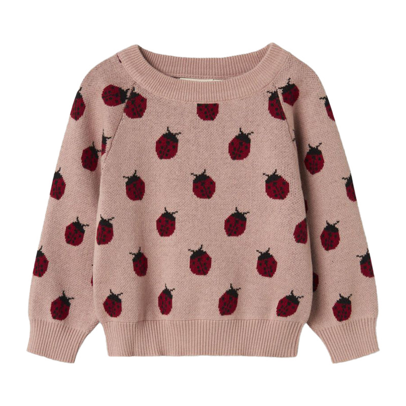Sweater organic cotton Lil'Atelier (2-7 years)
