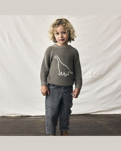 Sweater organic cotton Lil'Atelier (2-7 years)