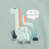 Tracksuit cotton fleece blend Five Star with print (12 months-5 years)