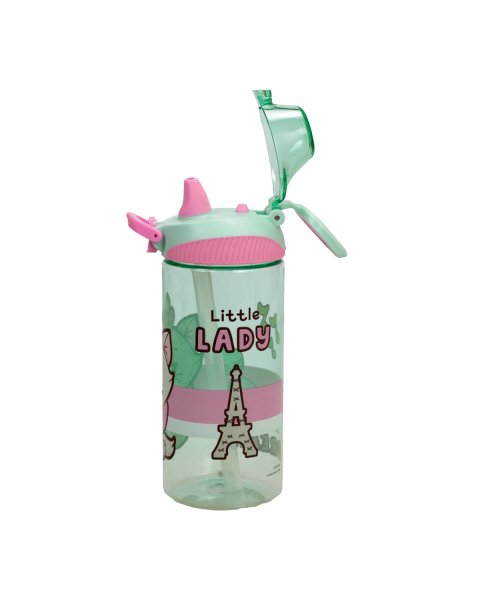 Water bottle with straw Disney Marie 450ml