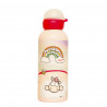 Water bottle Nici 580ml