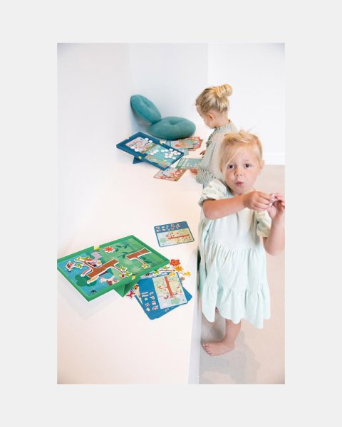 Toy Scratch Magnetic Animal counting (5+ years)