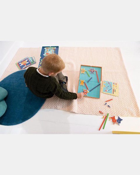 Toy Scratch Magnetic Animal counting (5+ years)