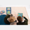 Toy Scratch Magnetic Animal counting (5+ years)