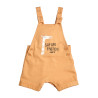 Overall with top Tender Comforts with safari print (3-18 months)