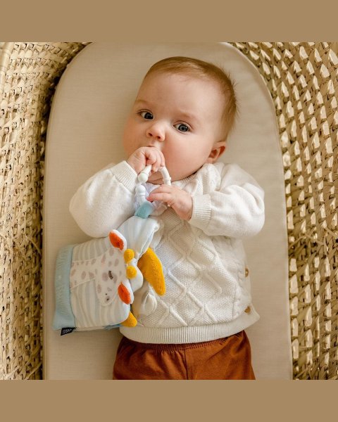 Soft book Fehn with baby giraffe (0+ months)