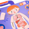 Puzzle Magnetic MierEdu Body Anatomy (3+ years)