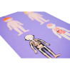 Puzzle Magnetic MierEdu Body Anatomy (3+ years)