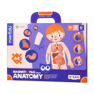 Puzzle Magnetic MierEdu Body Anatomy (3+ years)