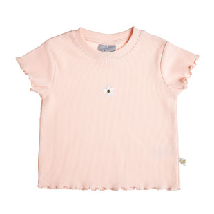 Top Five Star with embroidery (12 months-5 years)