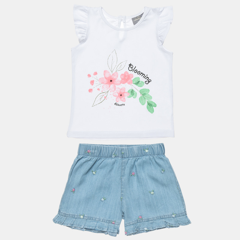 Set top and shorts (2-5 years)